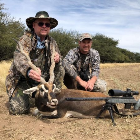 20 - Harvey antelope